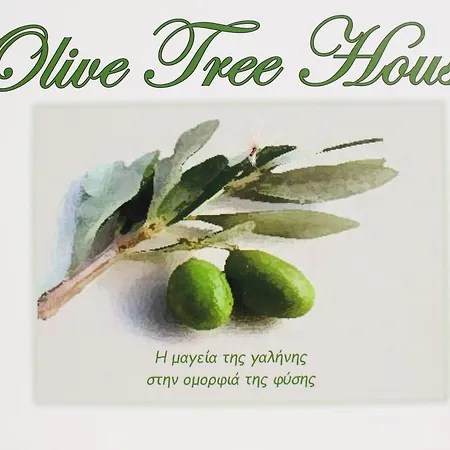 Olive Tree House Ii Hébergement de vacances Dhermatianika