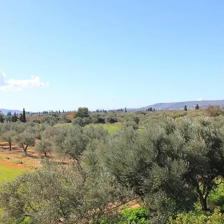 Olive Tree House Ii