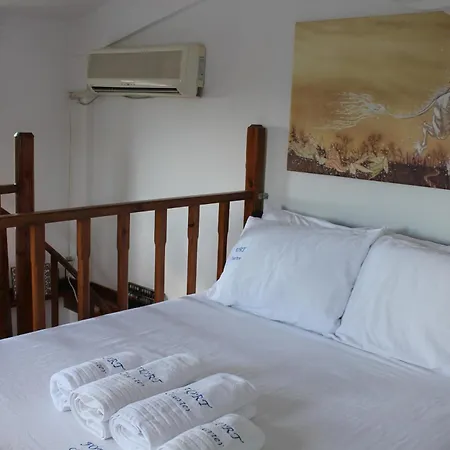 Olive Tree House Ii Casa vacanze Dhermatianika