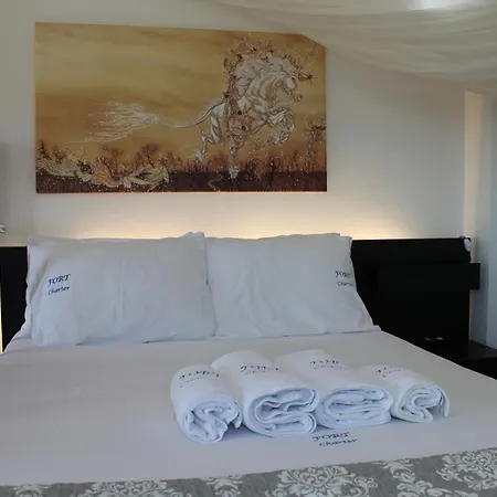 Hébergement de vacances Olive Tree House Ii Dhermatianika