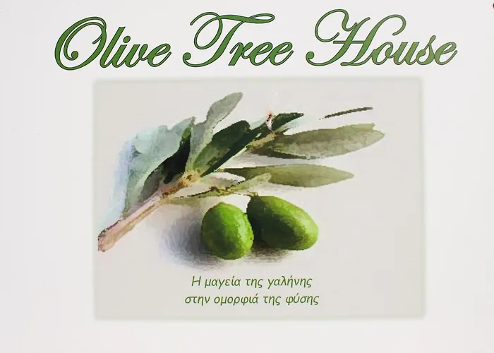 Olive Tree House Ii Prázdninový dům Dhermatianika